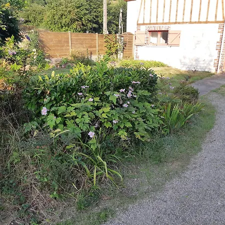 Semesterbostad Maison Spacieuse Parc Regional Naturel Normandie *