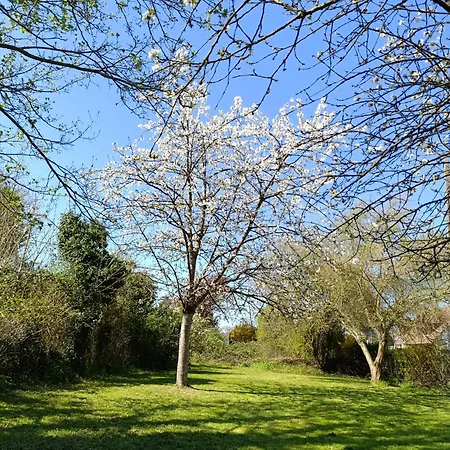 Tatil Evi Maison Spacieuse Parc Regional Naturel Normandie Quevillon