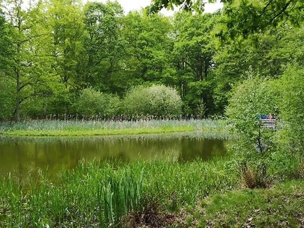 Tatil Evi Maison Spacieuse Parc Regional Naturel Normandie *