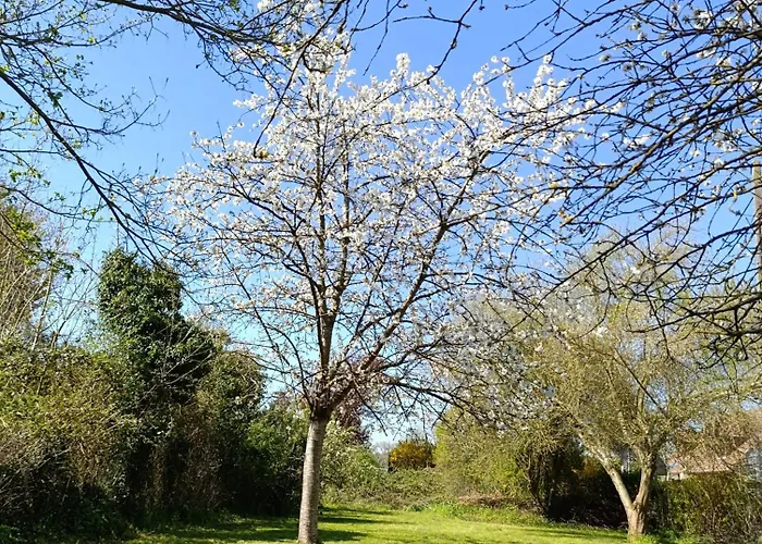 Tatil Evi Maison Spacieuse Parc Regional Naturel Normandie Quevillon